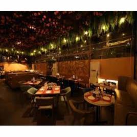 Bar Interior Designing Service