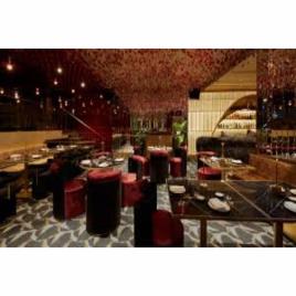 Bar Interior Designing Service