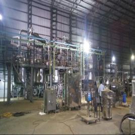 Bavachi Seed Extract Plant Manufacturers, Capacity: 100 TPD
