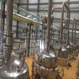 Bavachi Seed Extract Plant Manufacturers