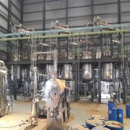 Bavachi Seed Extract Plant Manufacturers