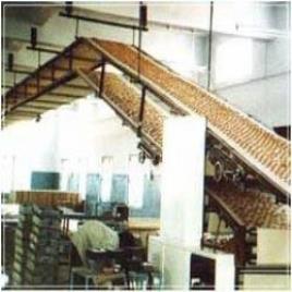 Belt Conveyor for Biscuit Industries