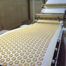 Belts For Food Industry