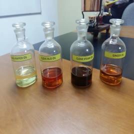Black Pepper Spice Oil Distillation Plant, Capacity: 5 TPD