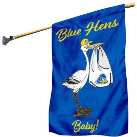 Blue And White Satin Outdoor Promotional Flag, 3 X 2.5 Feet