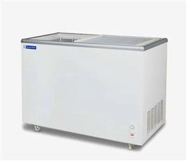 Blue Star Glass Top Freezer GT500HG