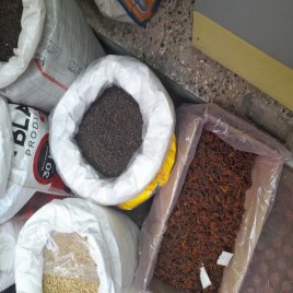 Bold Sing Dana, 25 Kg