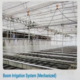 Boom Irrigation System For Greenhouse
