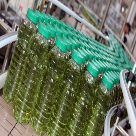 Bottle Feeding Conveyors