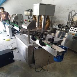 Bottle Filler Automatic Peanuts Oil Packing Machine, Apte, Capacity: 1000 T 2000 Bottle Per Hour