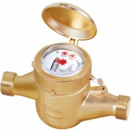 Brass Kranti Water Flow Meter 20mm, 500 mm