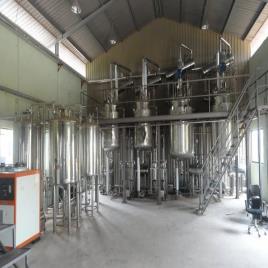 Bromelain Pineapple Enzyme Extraction Plant, Capacity: 100 TPD