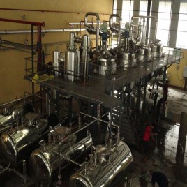 Bromelain Pineapple Enzyme Extraction Plant