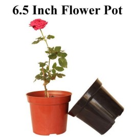 Brown Growth Plastic Pot 6.5 Inch