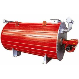 BSJS MS Gas Fired Boiler
