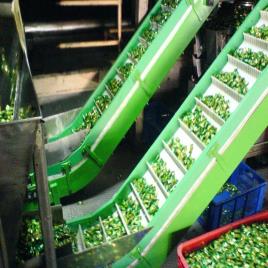 Bucket Conveyor