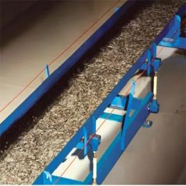 Bulk Handling Conveyors