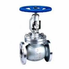 Cast Iron Ci Globe Valve, Valve Size: 1 inch