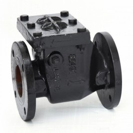 Cast Iron Reflux Valves, Size: 1/2
