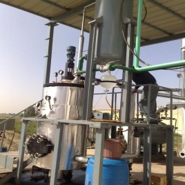 Clove Buds Spices Oils Distillation Plants, Capacity: 5 TPD