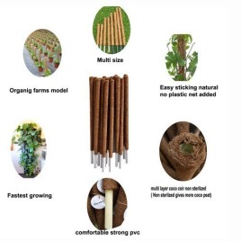 Coco Pole - Coir Stick for Indoor, House and Plant Creepers Support (Brown, 2 ft)