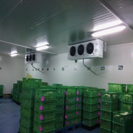 Cold Storage For Fruits