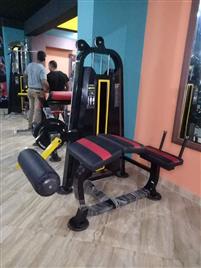 Commercial Leg Curl Machine, For Gym