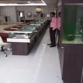 Commercial Shop Interior Designing Services