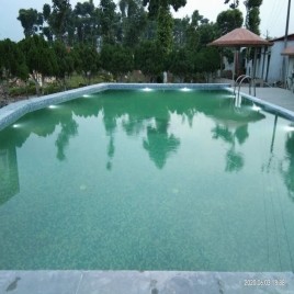 Concrete Outdoor Residential Swimming Pool Development Service, in Pan India, 6 Feet