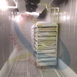 Containerised Blast Freezer, Capacity: 100 L