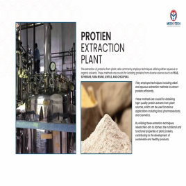 Continuous Solvent Extraction Plants, Capacity: 100 TPD