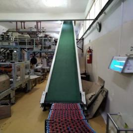 Conveyor system manufacturer in Banglore