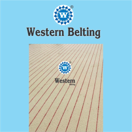 Cotton Canvas Conveyor Belt, Belt Thickness: 5 mm