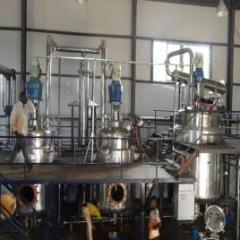 Curcuma longa extract plant manufacturer in india, Capacity: 10 TPD