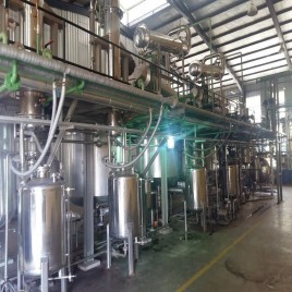 Curcuma Longa Extract Plant Manufacturer