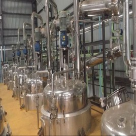 Curcumin Extraction Plant, Capacity: 100 TPD