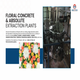 Curcumin Extraction Plant In India, Capacity: 100 TPD