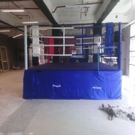Customerized Mini Boxing Ring, Size: 24 Ft X 24 Ft