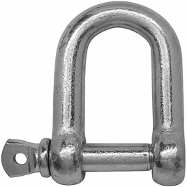 Dee Shackle