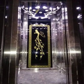 Designer Pessenger Elevator