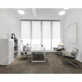 Director Cabin Interior Designing Service