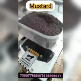 Domestic Oil Expeller Machine , Capacity: 2-5 Kg/Hr