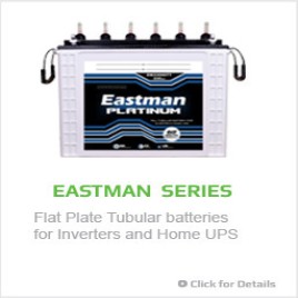 Eastman Platinum Tubular Batteries