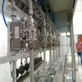Electric 10 Liter Oil Filling Machine In Kenya, 5 Hp, Capacity: 6 To 8 Container Per Minute