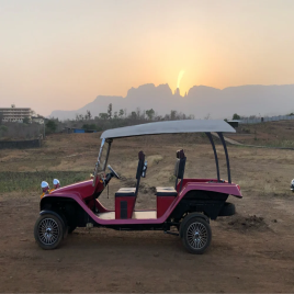 Electric Golf Cart/ Electric Buggies
