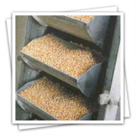 Elevator Conveyor Belt