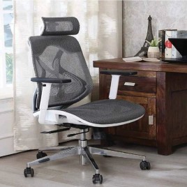 Ergonomic Office Chairs