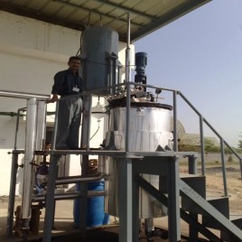 Ergot Alkaloids Extraction Plants, Capacity: 1