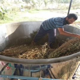 Essential Oil Distillation Machine
