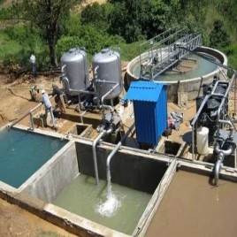 Etp Plants